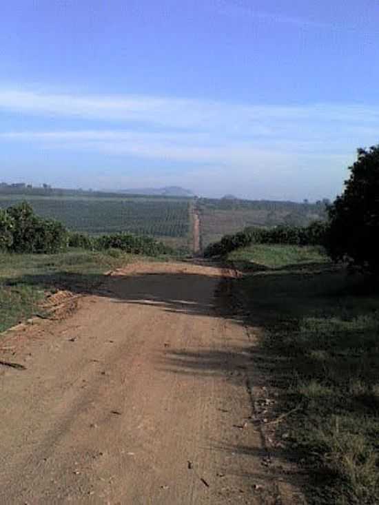 ESTRADA RURAL DE CORUMBATA-FOTO:JAIRO TCATCHENCO - CORUMBATA - SP