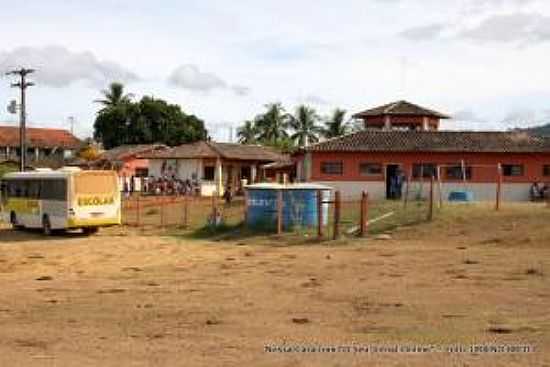 PAU BRASIL-BA-ESCOLA DENTRO DA RESERVA INDGENA CARAMURU-FOTO:WWW.NOSSACARA.COM  - PAU BRASIL - BA