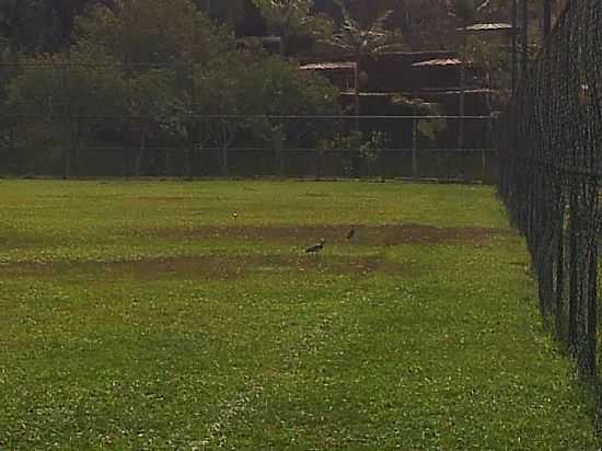 COTIA-SP-CLUBE DO SECSP-FOTO:JAILSON NUNES VIANA - COTIA - SP