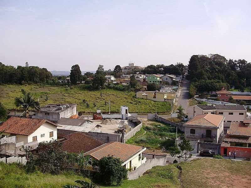 COTIA-SP-VISTA PARCIAL DO JARDIM IP-FOTO:ROBERTO QUIRINO SIMES - COTIA - SP