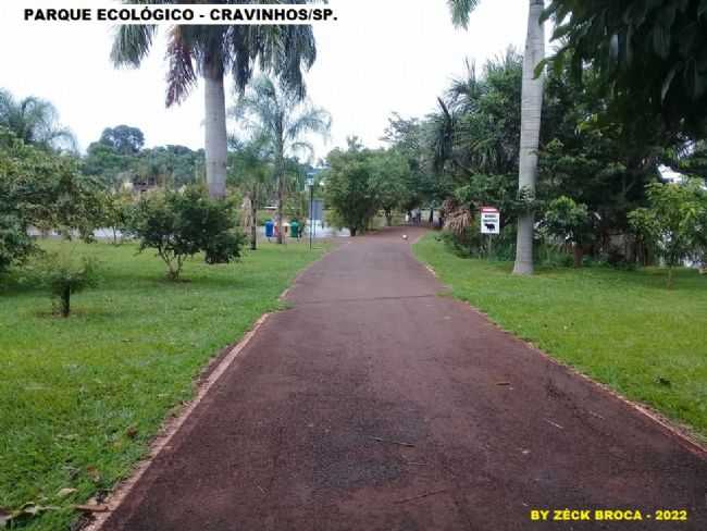 PARQUE ECOLGICO DE CRAVINHOS/SP., POR ZCK BROCA - CRAVINHOS - SP