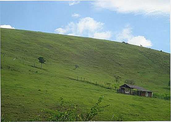 REA RURAL DE CRUZEIRO-SP-FOTO:KASLLER - CRUZEIRO - SP