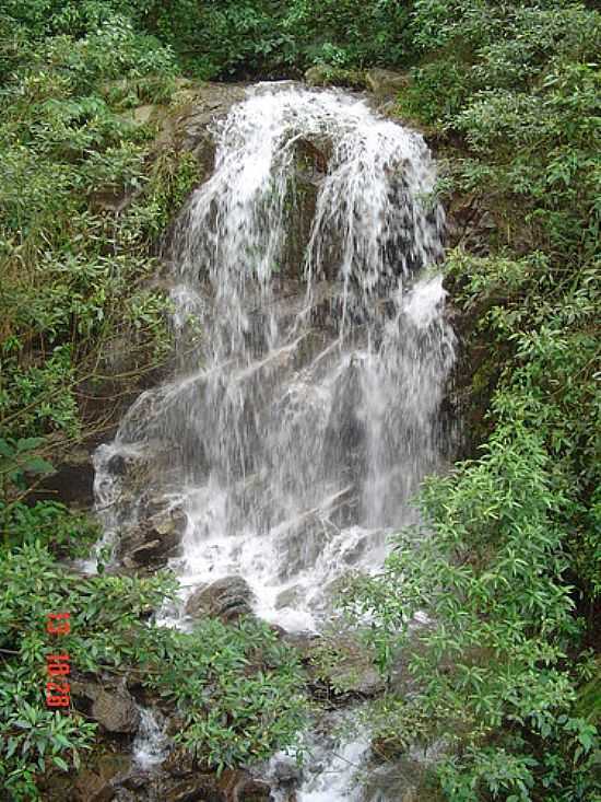 CASCATA NO CAMINHO DO MAR-FOTO:MARCELO PARISE PETAZ - CUBATO - SP