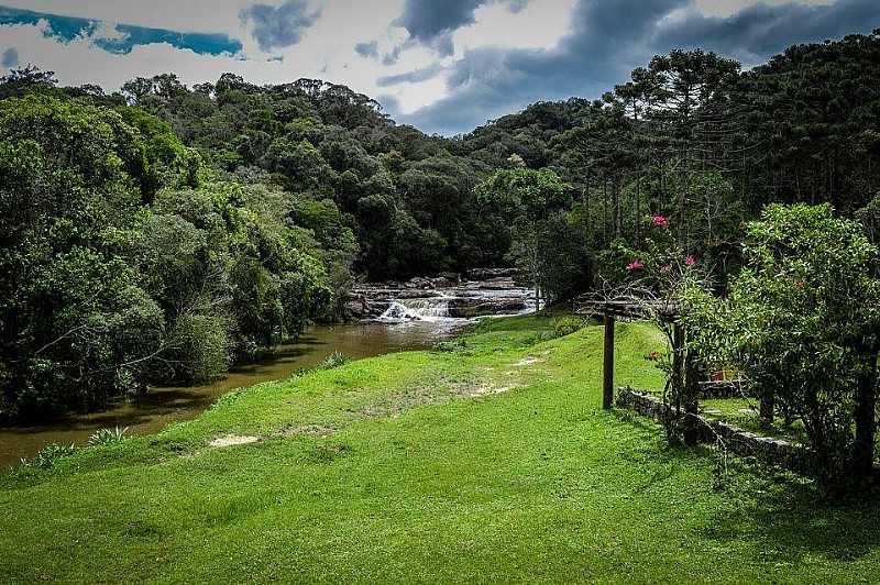 PARQUE ESTADUAL DA SERRA DO MAR - CUNHA - SP