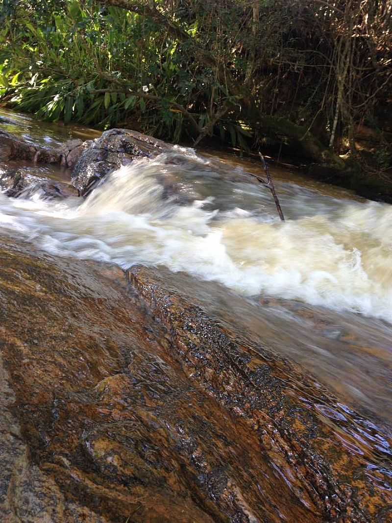 IMAGENS DA CIDADE DE DIVINOLNDIA - SP - DIVINOLNDIA - SP