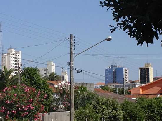 DRACENA-FOTO:LPSLPS  - DRACENA - SP