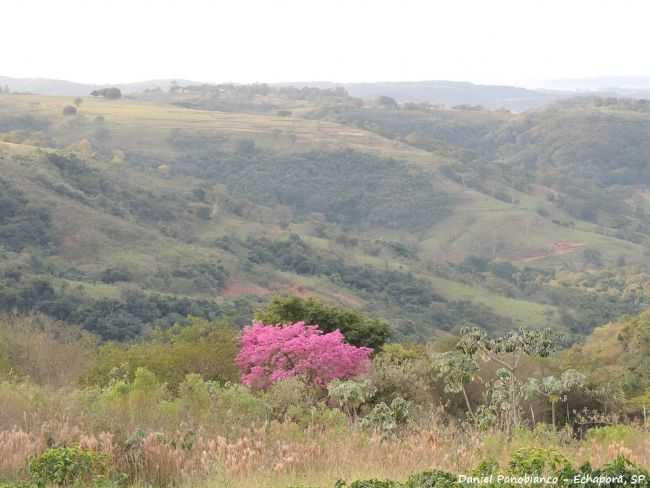 SERRA DO MIRANTE, POR DANIEL PANOBIANCO - ECHAPOR - SP