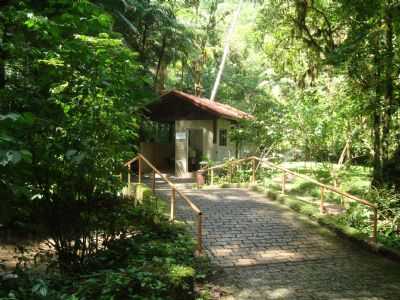 PARQUE CAVERNA DO DIABO - ELDORADO, SP, POR  ROBERTO GASPARINNI - ELDORADO - SP