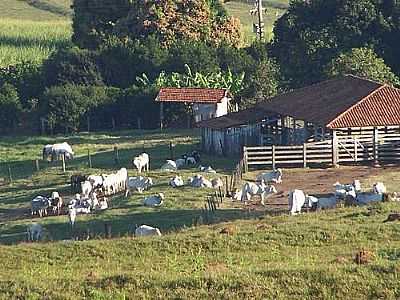 ELISIRIO POR OSCAR FATORELLI DE C... - ELISIRIO - SP