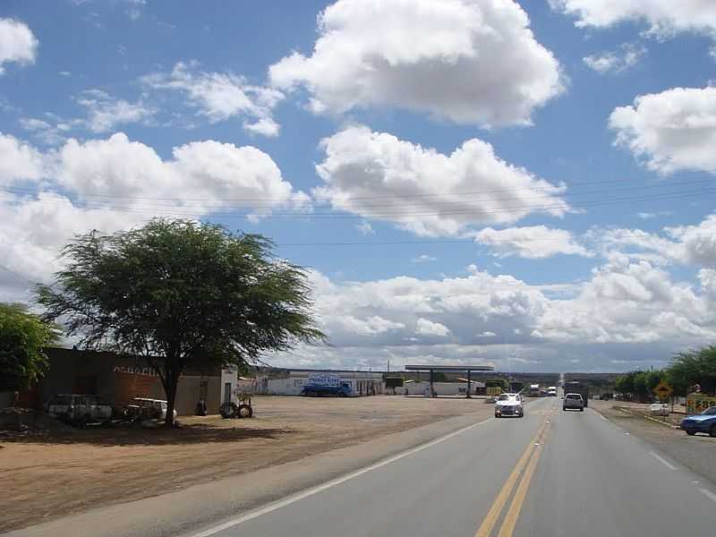 PEDRAS ALTAS DO MIRIM-BA-RODOVIA BR-407-FOTO:JORGE HIRATA - PEDRAS ALTAS DO MIRIM - BA