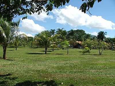 PRAINHA  FOTO
POR RICDON  - ESMERALDA - SP