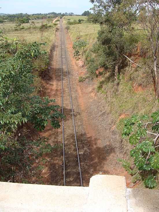 FERROVIA-FOTO:RICARDO D. MATHIAS - ESPIGO - SP