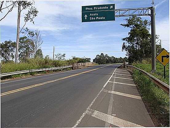 PONTE SP-425 SOBRE FERROVIA-FOTO:RICARDO D. MATHIAS - ESPIGO - SP