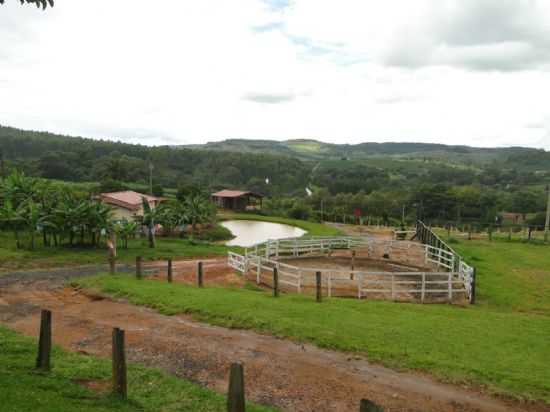 E. S. PINHAL, SP, BR -ZONA RURAL - SADA ALBERTINA, POR ROSPO MATTINIERO DI MEOLO - ESPRITO SANTO DO PINHAL - SP