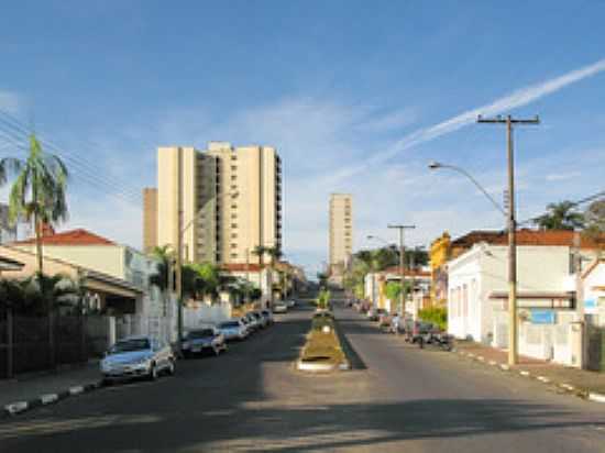 AVENIDA-FOTO:EDUARDO M. P. DANTAS - ESPRITO SANTO DO PINHAL - SP