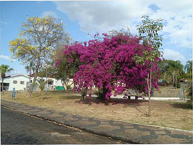 LARGO SANTA CRUS  E.S DO PINHAL   SP, POR CLAUDEMIR IVO G COSTA - ESPRITO SANTO DO PINHAL - SP