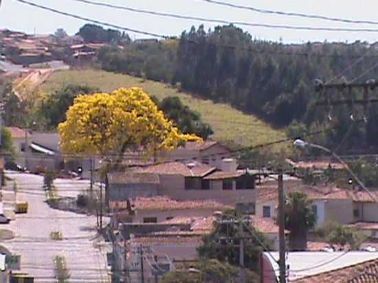 ESPRITO SANTO DO PINHAL - SP  - POR CLAUDEMIR IVO G COSTA - ESPRITO SANTO DO PINHAL - SP