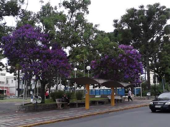 ESPRITO SANTO DO PINHAL - SP - POR CLAUDEMIR IVO G COSTA - ESPRITO SANTO DO PINHAL - SP