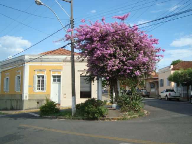 POR CLAUDEMIR IVO G CASTA - ESPRITO SANTO DO PINHAL - SP