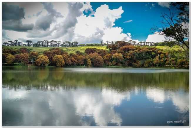 ESPRITO SANTO DO PINHAL, POR MARCOS COLOZZA - ESPRITO SANTO DO PINHAL - SP