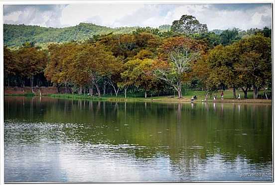 ESPIRITO SANTO DO PINHAL SP, POR MARCOS COLOZZA - ESPRITO SANTO DO PINHAL - SP