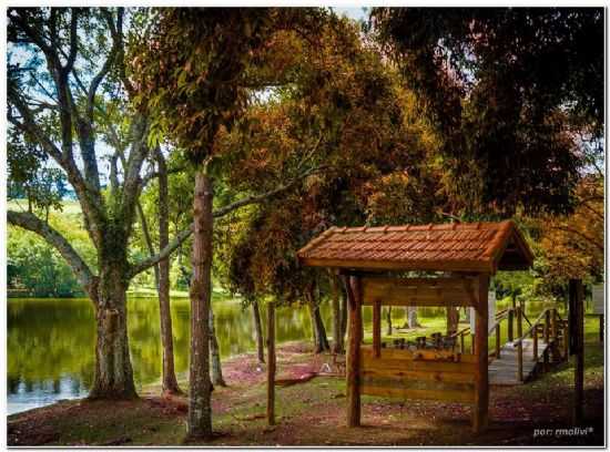 ESPIRITO SANTO DO PINHAL-SP, POR MARCOS COLOZZA - ESPRITO SANTO DO PINHAL - SP