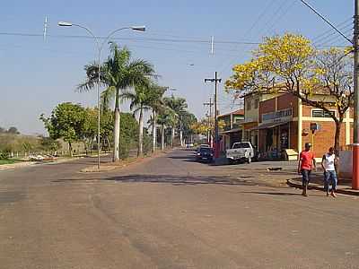 AV.JOO DIAS JUNIOR-FOTO:DEIVE MELO  - ESPRITO SANTO DO TURVO - SP