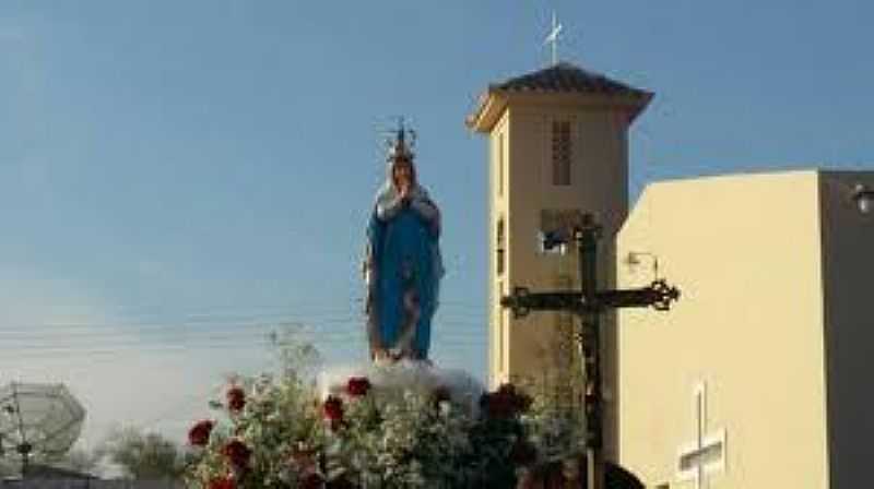 PARQUIA DE NOSSA SENHORA DA CONCEIO -PEDRO ALEXANDRE -BA - PEDRO ALEXANDRE - BA