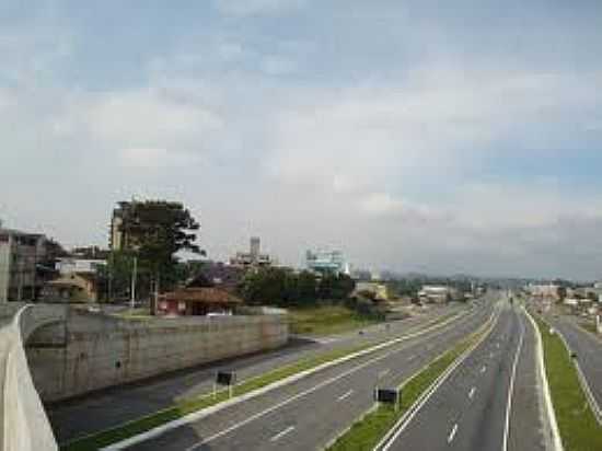 RODOVIA - FAZENDA VELHA - SP