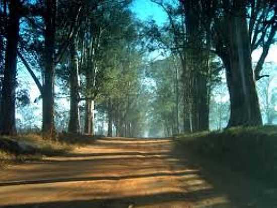 ESTRADA - FAZENDA VELHA - SP