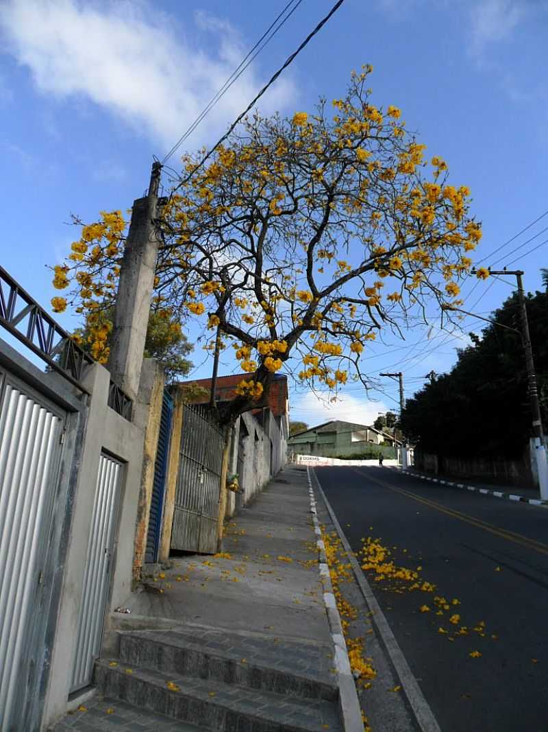 FERRAZ DE VASCONCELOS-SP-RUA CLVIS BEVILCQUA-FOTO:VITOR J. QUARELO - FERRAZ DE VASCONCELOS - SP