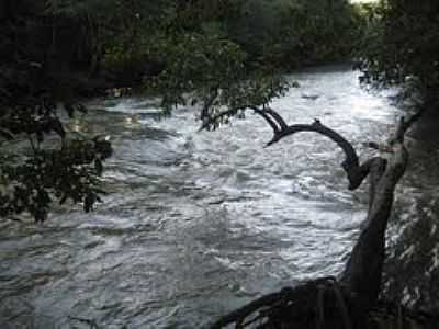 RIO SO JOS DOS DOURADOS-FOTO:GILSON OLIVEIRA MARQ  - FLOREAL - SP