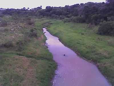 RIBEIRO-FOTO:ROBSOUSA  - FLORESTA DO SUL - SP