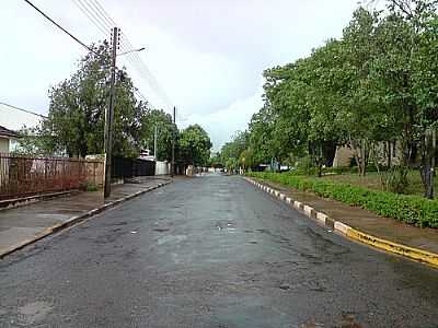 RUA SEBASTIO RODRIGUES DE SOUZA-FOTO:ROBSOUSA  - FLORESTA DO SUL - SP