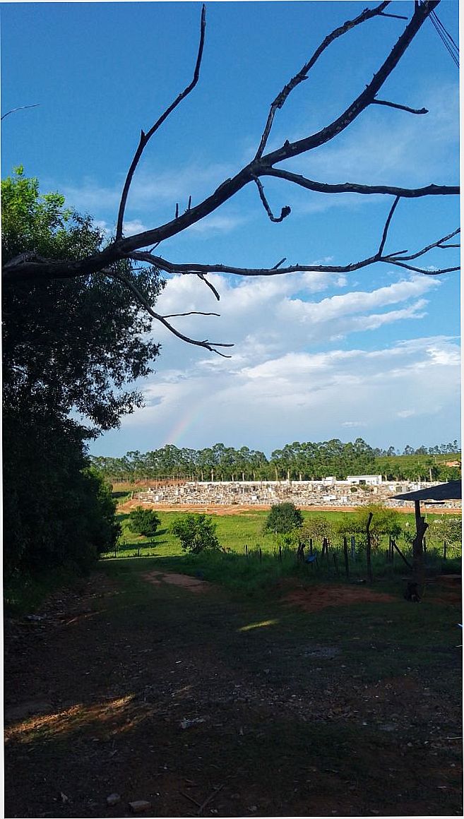 CEMIT�RIO, POR JAMILY DE ALMEIDA FERREIRA - FL�RIDA PAULISTA - SP