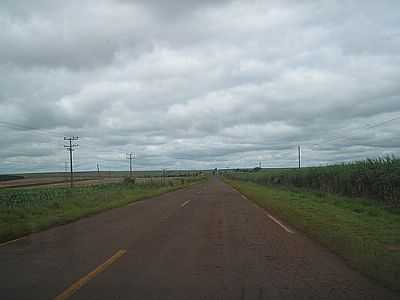 RODOVIA-SP 266-FOTO:PC FELIZARDO  - FRUTAL DO CAMPO - SP