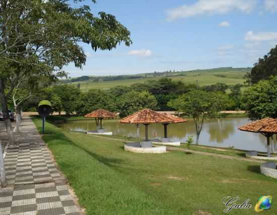 LAGO ARTIFICIAL , POR ROSE CASTRO - GLIA - SP