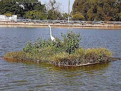 POR FABIOVASCONCELOS
 LAGO ARTIFICIAL JK WILLIANS - - GARA - SP