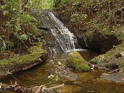 CACHOEIRA DO FRABETTI 
POR FRANCISCO CHRISTFORO JR.  - GARA - SP