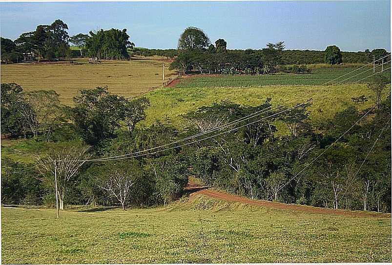 GAVIO PEIXOTO-SP-PAISAGEM RURAL-FOTO:ZEKINHA - GAVIO PEIXOTO - SP