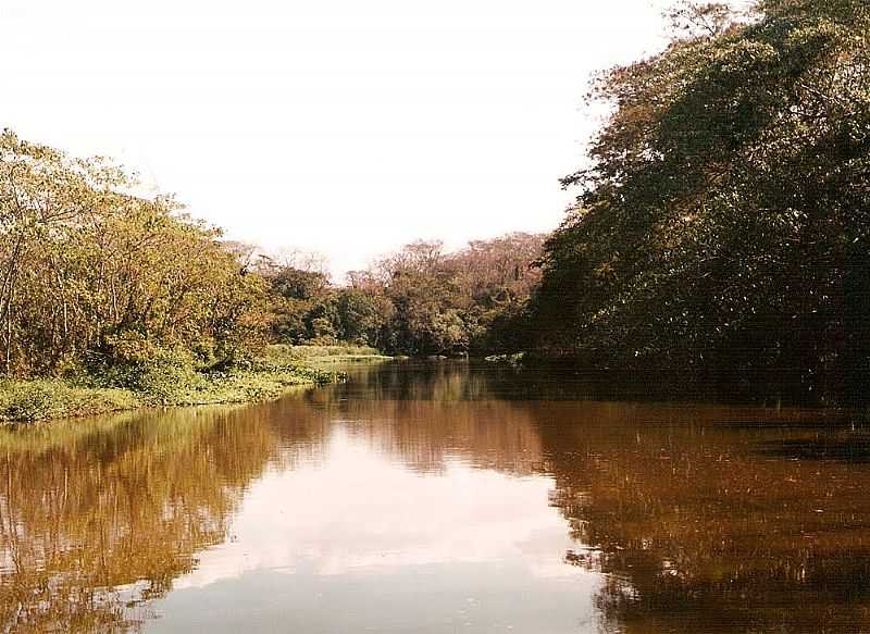 GAVIO PEIXOTO-SP-RIO JACAR GUA-FOTO:ZEKINHA  - GAVIO PEIXOTO - SP