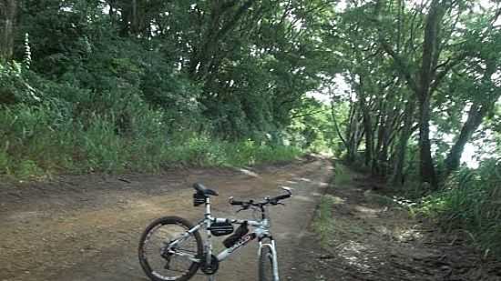 ESTRADA DE GUAIANAS-SP-FOTO:PEREIRA BIKE - GUAIANAS - SP