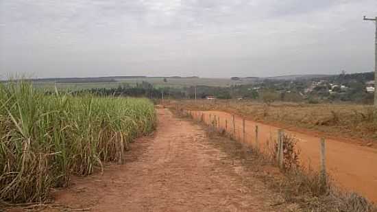 ESTRADA DE TERRA E AO FUNDO A CIDADE DE GUAIANAS-SP-FOTO:AGRODOCE - GUAIANAS - SP