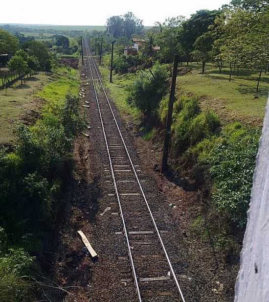 VIA FRREA EM GUAIANAS-SP-FOTO:LADY1880 - GUAIANAS - SP