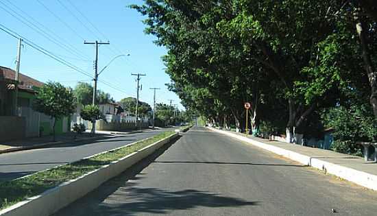 SADA PARA LINS-FOTO:MOACIR P CRUZ DE GU - GUAIMB - SP