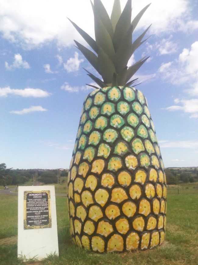 MONUMENTO CIDADE DO ABACAXI, POR JORGE LUIZ FERREIRA - GUARAA - SP