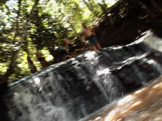 CACHUEIRA DE GUARAAI, POR RAVENA SILVA - GUARAA - SP