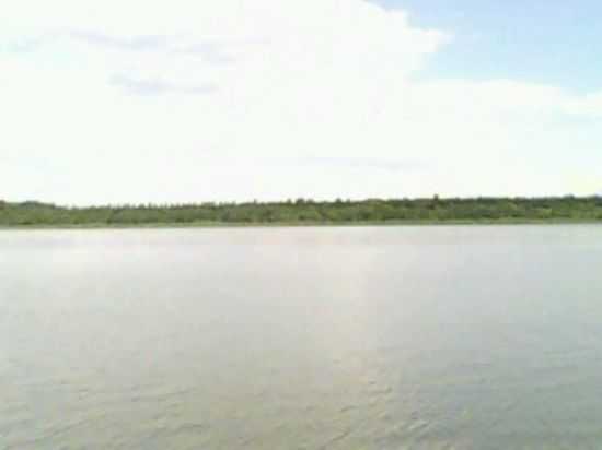RIO GRANDE, POR ELIZEU CHIODI  - GUARACI - SP