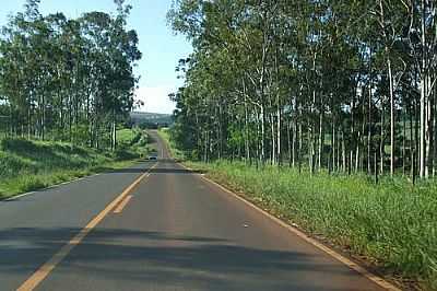 ESTRADA-FOTO:MINDUIM  - GUARAPU - SP