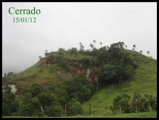 CERRADO, POR POLIANA MAXIMO - GUARE - SP